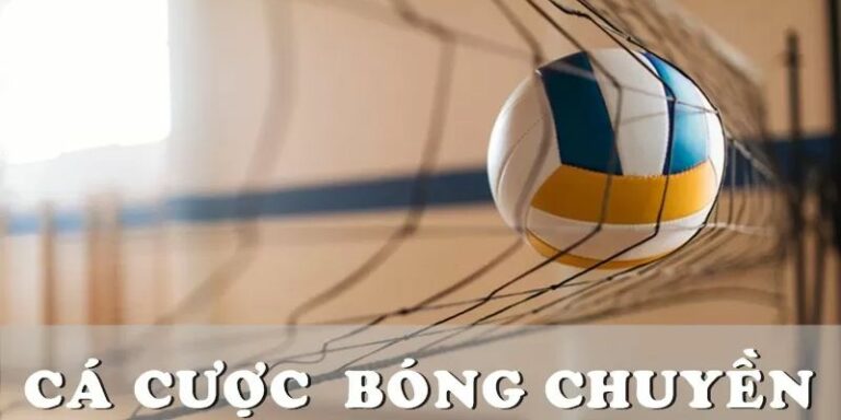 Cá cược bóng chuyền Ku11