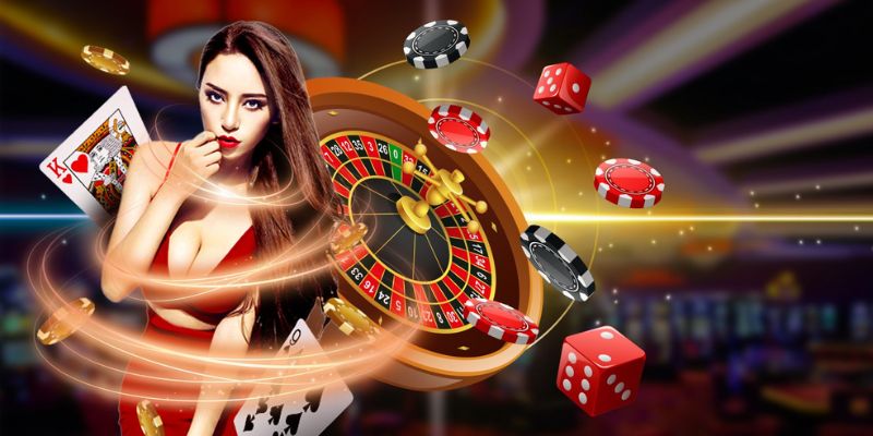 Giới thiệu chung: ku11 là gì?