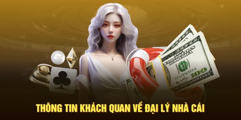 Tìm hiểu về đại lý Ku11